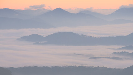 Fototapeta na wymiar Appalachian mountain peaks rise out of the clouds on a misty morning