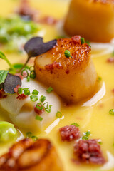Studio closeup of seared scallops, garnished with pea shoots and served on a bed of asparagus, presented on a scallop shell.