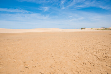 Fototapeta na wymiar background sandy dunes and blue sky with cirrus clouds