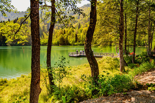 Autumn in the Artvin Borcka Karagol Park