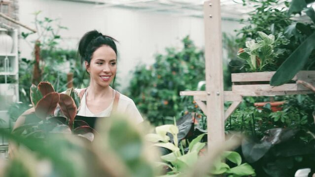 Woman working in a garden center
