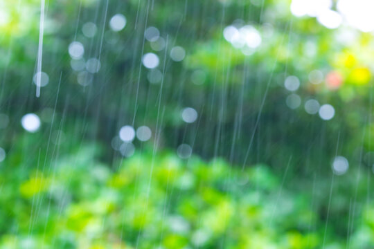 Tropical rain, season of precipitation. Rain on the background of defocused palm leaves.