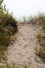 Sand Pathway To The Beach