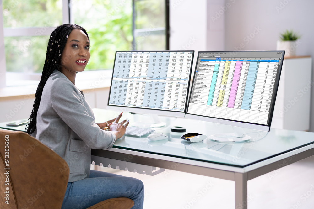 Poster analyst working with spreadsheet business data