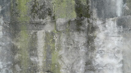 Mossy grunge pattern cement wall texture