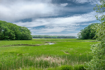 Scarborough Marsh
