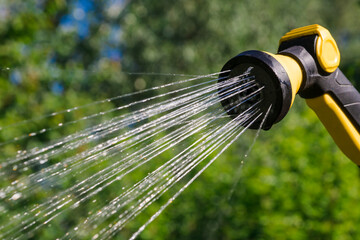 Watering garden flowers with hose. Dishes and drops of water from a garden hose closeup. Spraying...