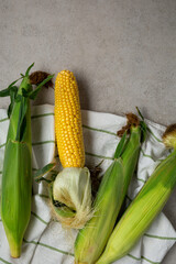 Fresh sweet corn cob harvest top view copy space food