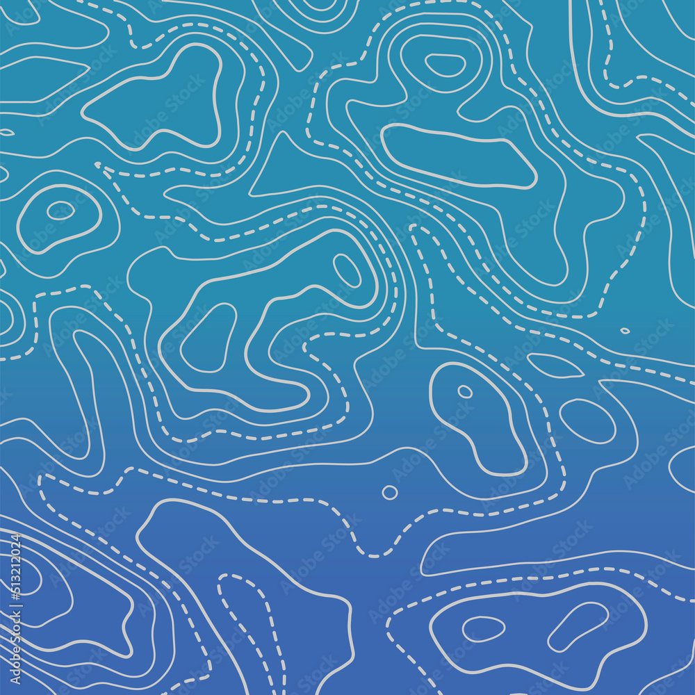Poster topographic map background. grid map. abstract vector illustration.