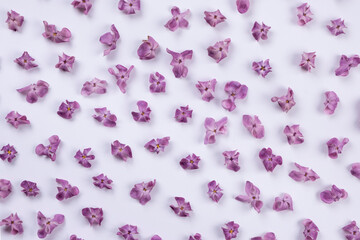 background of purple lilac flowers on a peach or beige background.Summer bright background,floral or plant design