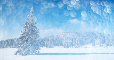 Fototapeta premium winter landscape with big snow covered tree