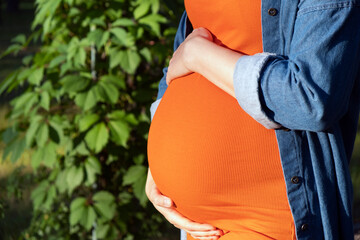 Pregnant woman in orange dress and jeans shirt hold her big tummy with hands in park with green...