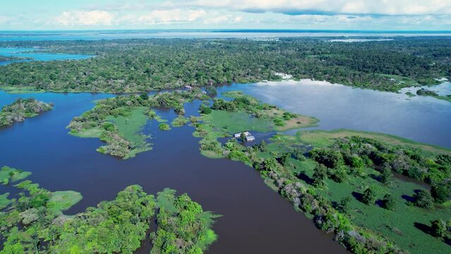 Amazon Forest At Manaus Amazonas Brazil. Idyllic Background Summer. Ecosystem Idyllic. Wood Aerials Trip. Amazon Outdoor Natural. Manaus Amazonas Lakes