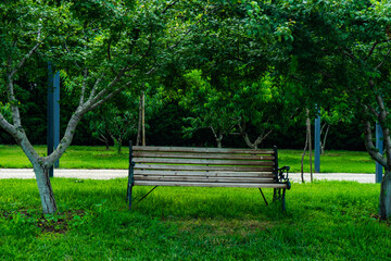 Park bench in the park