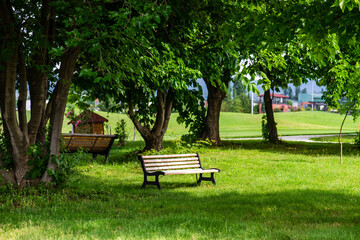Park bench in the park