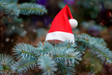 Santa's hat on the Christmas tree close-up. New Year holiday background. © Оксана Самойленко