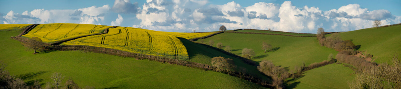 Europe, UK, England, Devon panorama Dart valley