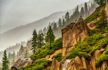 Rock cliff with forest and fog