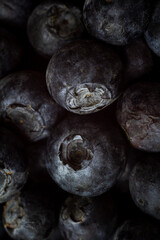 blueberries macro, berry season, summer berry season