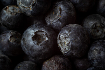 blueberries macro, berry season, summer berry season