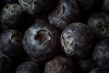 blueberries macro, berry season, summer berry season