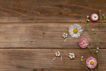 Obraz na płótnie Canvas white and pink wildflowers with petals and thin branches on brown wooden background