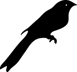 Bird.Vector icon design on white background.17.eps