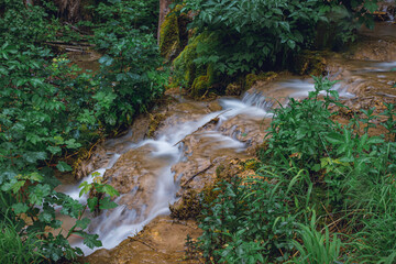 Long exposure view of a small and fast mountain creek with silky motion blurred water effect in a forest.