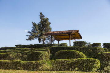 Green tea terrace with some small houses and gazebos in Hangzhou, China