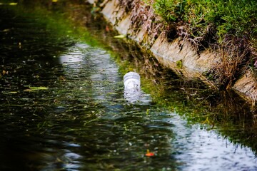 Trash pollution in a lake