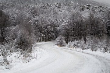 winter road in the snow
