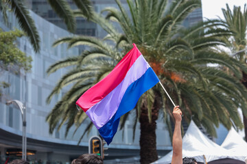 Bisexual flag at the annual gay parade in Mexico City