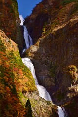 落差日本一　秋・紅葉の称名滝