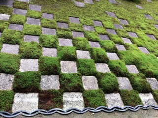 stone pavement texture