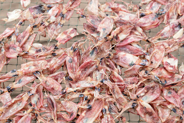 Obraz na płótnie Canvas Sun dried squid. Processed squid for street food. seafood.