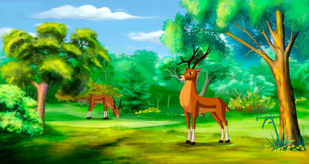Deer on a forest glade illustration © multipedia