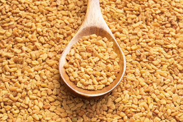 Fenugreek (Trigonella foenum-graecum) in wooden spoon on background from fenugreek. Macro. Soft focus. Indian cuisine concept