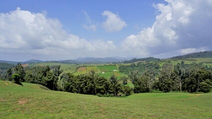 Beautiful and amazing landscapes of Wenlock Downs 9th Mile Shooting Point.