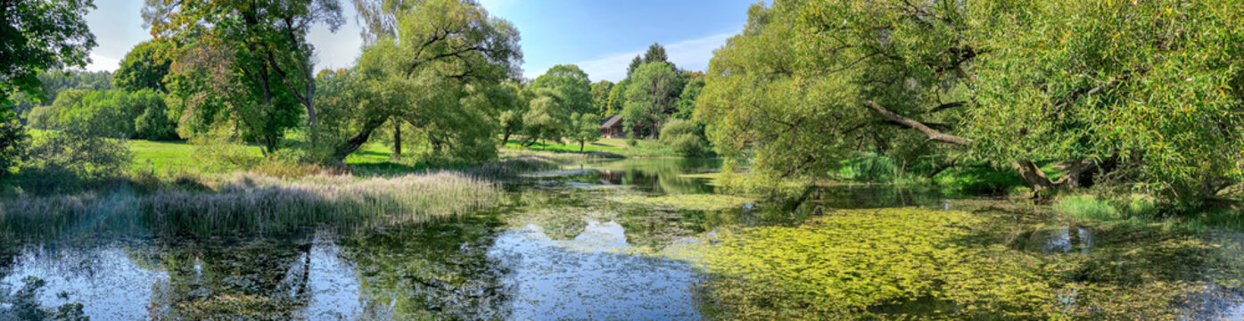 idyllic landscape with trees along the river in summer sunny day. panoramic image.