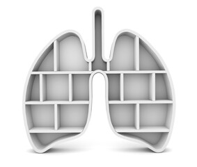 Lung shelf isolated on white background. Organ shelf. 3d rendering