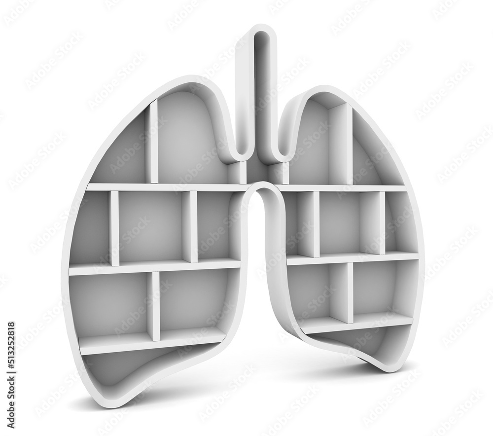 Poster lung shelf side view isolated on white background. organ shelf. 3d rendering