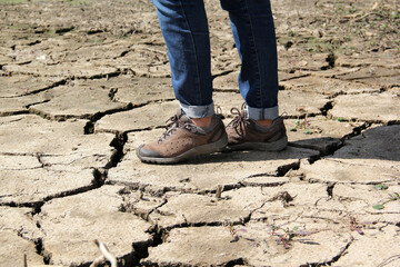 World Water Day is celebrated every March 22 to remember the relevance of this essential liquid. Droughts are caused by climate change, the lack of rain, which produces water scarcity