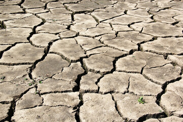 World Water Day is celebrated every March 22 to remember the relevance of this essential liquid. Droughts are caused by climate change, the lack of rain, which produces water scarcity