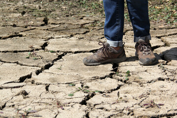 World Water Day is celebrated every March 22 to remember the relevance of this essential liquid. Droughts are caused by climate change, the lack of rain, which produces water scarcity