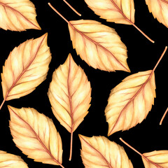 Autumn leaf seamless pattern. Watercolor vintage illustration. Isolated on a black background.