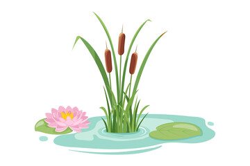 Pond with high reeds and lotus. Vector illustration of lake vegetation isolated on white.