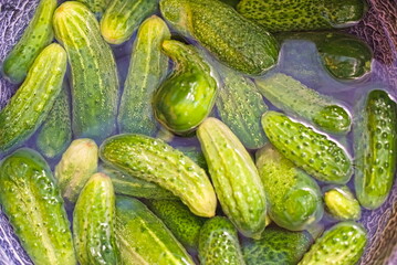 woman canning cucumbers in glass jars at home for the winter. canned vegetables. eco product.