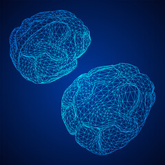 Brain. Low poly abstract digital human brain. Wireframe illustration.