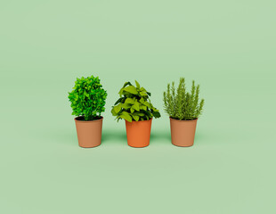 3d render of Interior Plants isolated on Pastel background, 3d background minimal scene