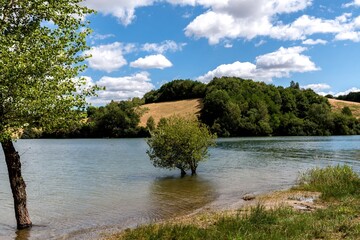 petit arbre immerg&eacute;e sur une plage au bord du lac de pareloup par une belle journ&eacute;e d'&eacute;t&eacute; en Aveyron